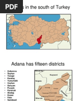 Describing A City in Turkey Adana