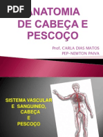 Aula 5 Sistema Vascular e Sanguineo