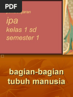 Download Bagian Bagian Tubuh Manusia Presentasi by gitabone SN13291821 doc pdf