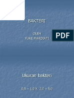 Bakteri