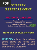 Nursery Establishment