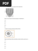 Contoh Soal UTS SeL dan Jaringan Tumbuhan