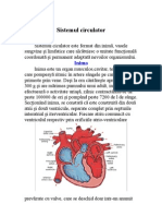 Sistemul Circulator PDF