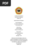 Download LaporanPraktikumIAnatomiTumbuhanbyOchaParamithaSN132970490 doc pdf