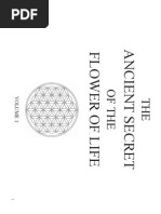 Download Drunvalo Melchizedek Ancient Secret of the Flower of Life Vol 1 by Delmita Boykins SN132978032 doc pdf
