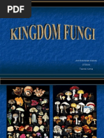 Download Presentasi Fungi by Nui49  SN13299577 doc pdf