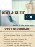 Ppt Anatomi Otot & Kulit
