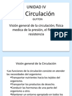 Circulacion Unida 4