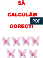 Sa Calculam Corect