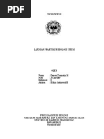 Download Fotosintesis by Muhammad Rizki SN133018278 doc pdf