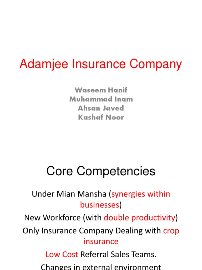 Insurance Strategy Challenges | PDF