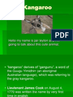 Kangaroo: Hello My Name Is Jair Leyton and I'm Going To Talk About This Cute Animal