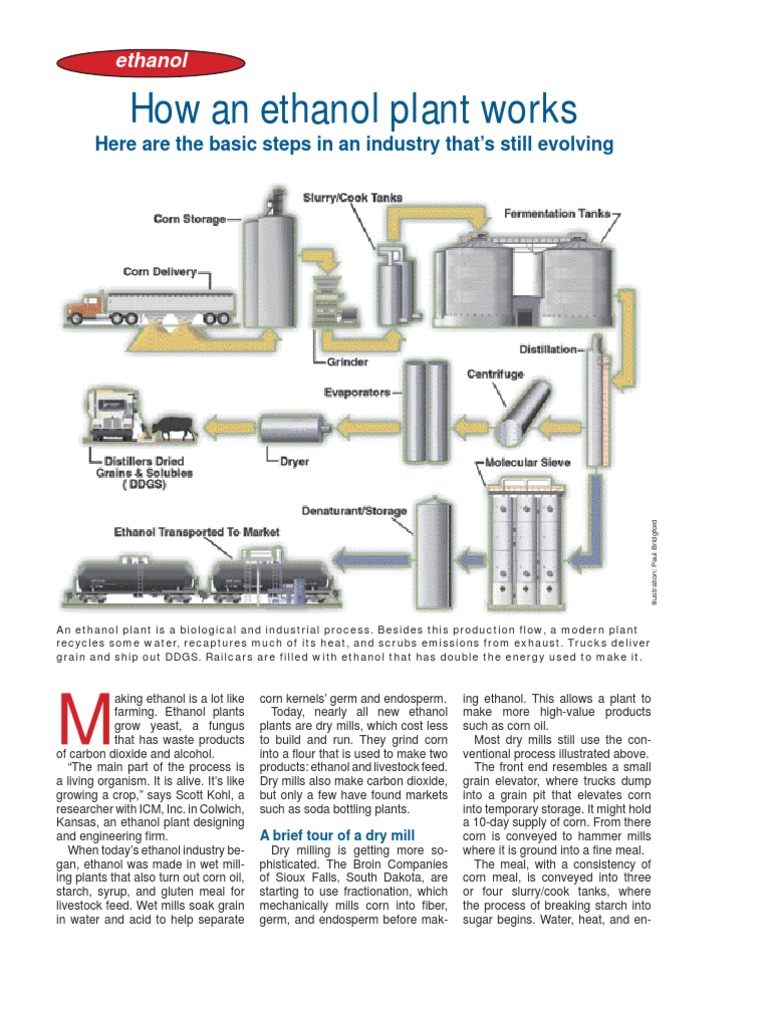 How An Ethanol Plant Works PDF Distillation Ethanol