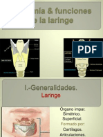 Anatomía y Funciones de la Laringe.
