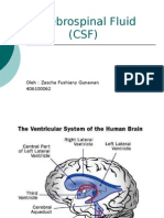 Cerebrospinal Fluid