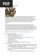 Download Bisnis Ice by Muhammad Ridal SN133086052 doc pdf