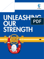 PGN Annual Report 2008