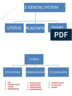 Female,Endocrine,Bone