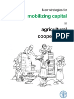 Mobilizing Capital