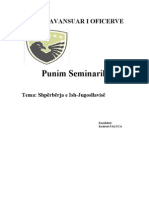 Punim Seminarik