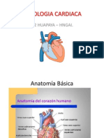 Fisiologia-Cardiaca Pps