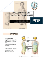 Clase 2 PDF