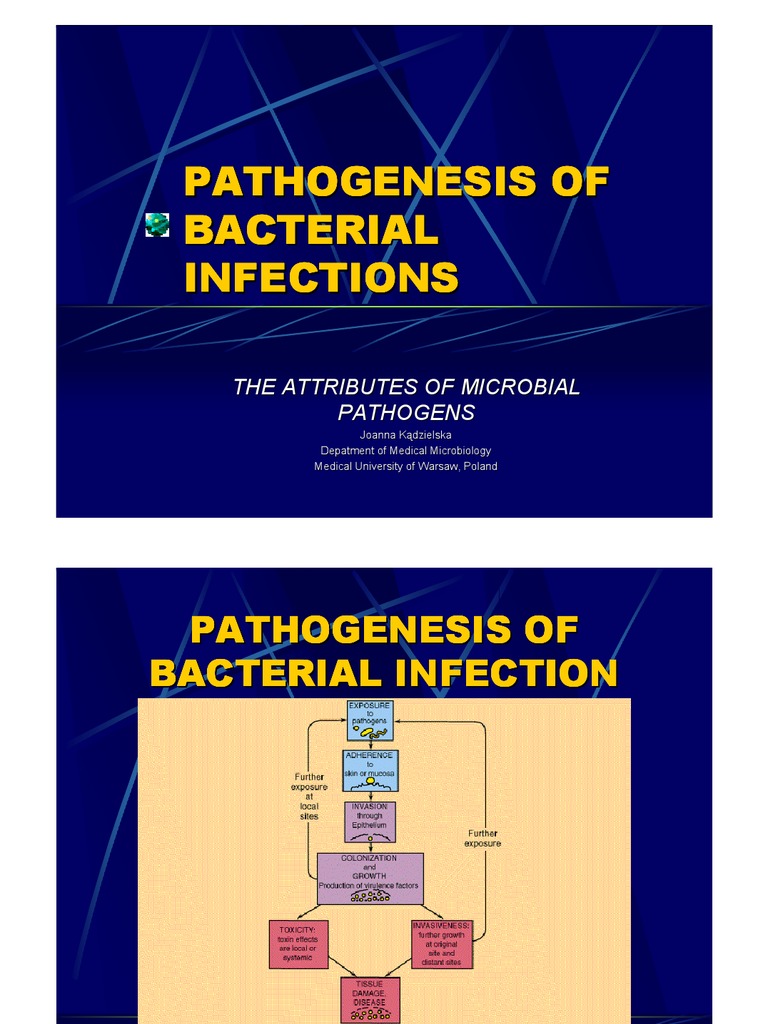 Bacterial Pathogenesis | Gram Negative Bacteria | Bacteria