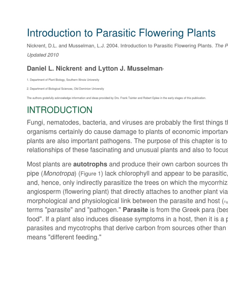 Introduction To Parasitic Flowering Plants | PDF | Plants | Seed