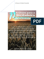 A Chave Para a Verdadeira Prosperidade Nilson Alves de Souza