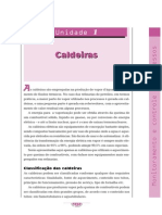 Caldeiras-Monitoramento e Controle do processo.pdf