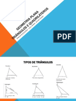 2 GEOMETRIA PLANA - Triangulos e Quadrilateros