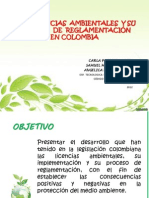 Las Licencias Ambientales y Su Proceso de Reglamentación en Colombia