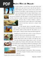 A Maior Flor Do Mundo-m Joao