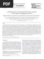 Download A Detailed Analysis of 16S Ribosomal RNA Gene Segments by Charith Nikahetiya SN133184080 doc pdf