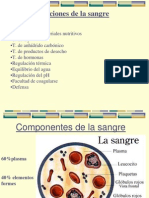 Funciones de La Sangre