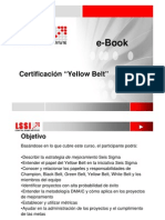 LSSI Yellow Belt (E-Book) PDF