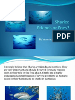 sharks friends or foes2