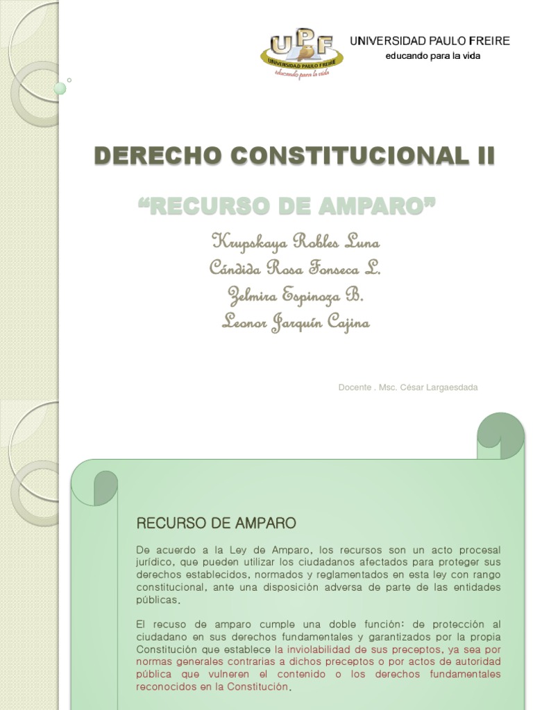 Recurso de Amparo en Derecho Constitucional | PDF | Justicia | Crimen y ...