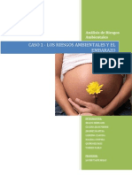Caso 1- Embarazo y Riesgos Ambientales (2)