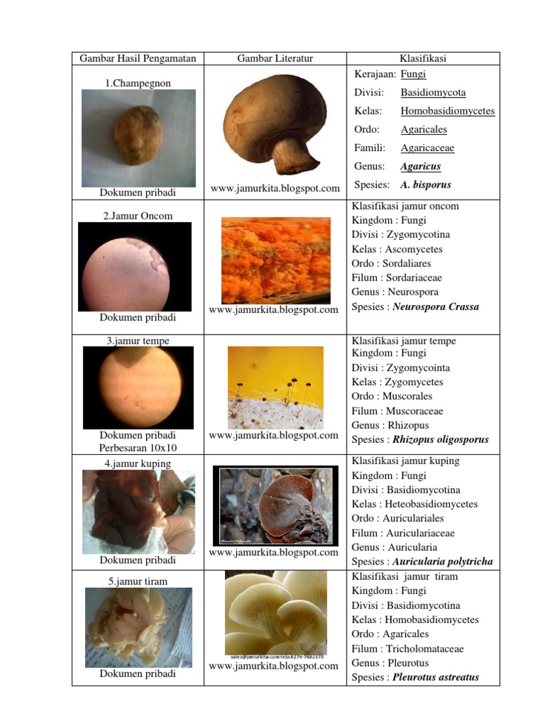 Gozal tender sekin jinsiy aloqa