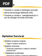 Colposcopie Terminologie