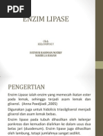 Download Enzim Lipase ppt by Tuti Tzu SN133223043 doc pdf