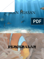 Ikan Hiasan