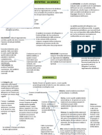 Mappa Concettuale Filosofia Di Aristotele