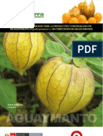 Estudio de Prefactibilidad para la Producción y Comercialización de Aguaymanto (Physalis peruviana L.) en condiciones de valles andinos.pdf