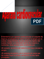 Clase 5 anatomía Aparato cardiovascular