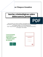 2003_teorias-criminologicas
