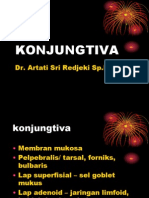 Konjungtiva - DR Artati Des 2012