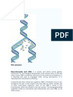 DNA Booklet