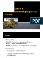 2013 Multilingualism Languages in Contact PPT PDF